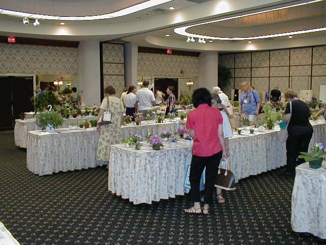 Showroom2
