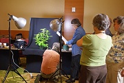 C12-5-15-Show Photography