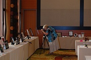 C12-6-1-Early morning photography of the flower show (Irina Nicholson)