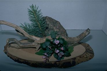Arrangement 