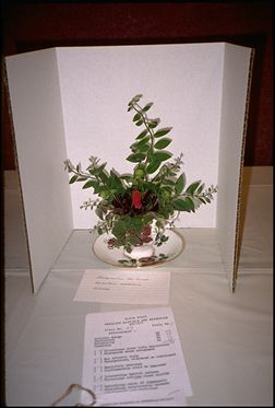 Arrangement 