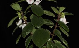 Class07-JMH-web