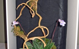 2014 Convention - Class 59 “Big South Fork National River”