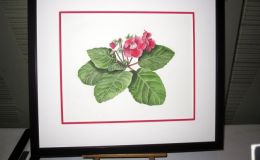 2014 Convention - Class 73 Painting or drawing - Runner-Up to Best in The Arts