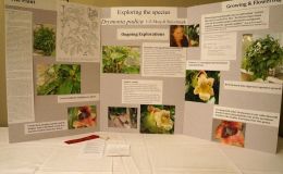 2014 Convention - Class 77 Exhibit illustrating phases of scientific or historical research - Judges Award of Merit