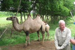 Don and a couple of two-hump camels, part of his rare animal collection