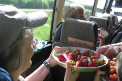 Afternoon fruit, cheese, and drinks on the bus ride back