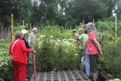 Touring the nursery and learning about the plants