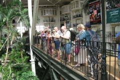 Viewing the gardens from the walkway above