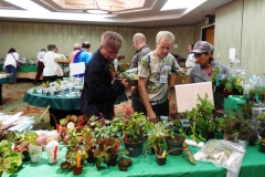 Stephen Maciejewski, Rob and Olive Ma Robinson filling their boxes