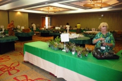 Kathy Spissman and the plant sales team starting to set up plant sales