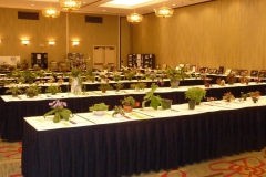 All quiet in the showroom at the end of the evening