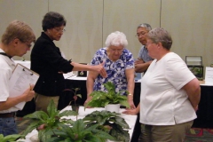 Another judging team at work