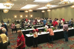Afternoon opening of the flower show
