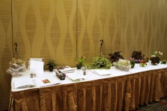Table of items ready for the Live Auction