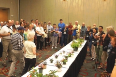 Judges critique led by Arleen Dewell