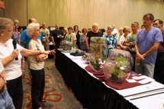 Nancy Kast discussing her Paradrymonia collection