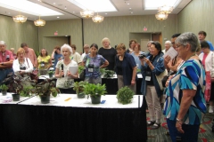 Discussion on the entries exhibited for ornamental value other than flowers