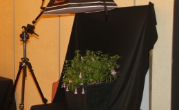 Photo setup