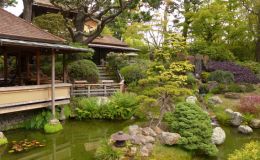 Individual group visits to the Japanese Garden Individual group visits to the Japanese Garden