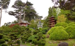 Japanese Garden traditional buildings Japanese Garden traditional buildings