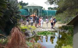 Group at the garden pond