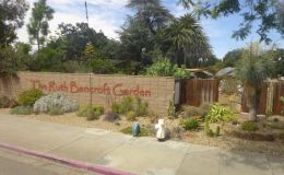 Arrival at the Ruth Bancroft Garden
