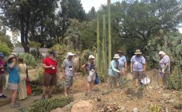 Tour of the garden