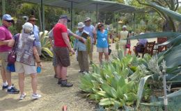 Another group touring the garden