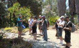 Tour guide discussing the garden