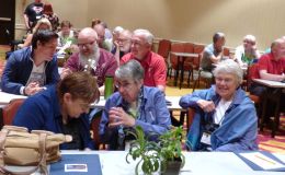 Judging teams of three at the afternoon judging session