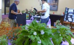 Placement Co-Chair Paul Susi assisted by Hong Xin