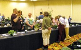 Judging team at work