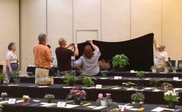 Photographing the collections