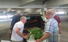 Bill Price and helpers packing plants back into his car Bill Price and helpers packing plants back into his car