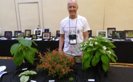 Bill Price with his Best in Show Collection Bill Price with his Best in Show Collection