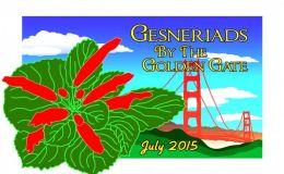 Goodbye to Gesneriads by the Golden Gate … till next year in Delaware