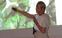 Betsy Gottshall discusses miniature sinningias Betsy Gottshall discusses miniature sinningias