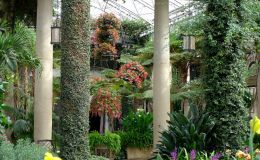 Inside the Longwood Conservatory Inside the Longwood Conservatory
