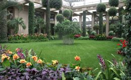 Inside the Longwood Conservatory Inside the Longwood Conservatory