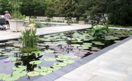 The Water Lily Garden The Water Lily Garden