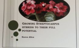 The Streptocarpus presentation by Karen Allen The Streptocarpus presentation by Karen Allen