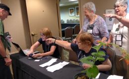 Auction settlement with Becky Fontes, Doris Brownlie, Molly Schneider and Elizabeth Varley