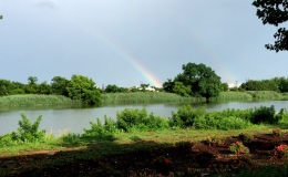 The view from Timothy's after the thunderstorm