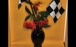 Wild Speed - (Laura Buckner)