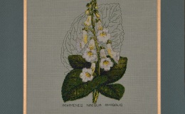2017 ConventionArts and Crafts Representing GesneriadsClass 75 – Needlework or textile RUNNER-UP TO BEST IN ARTS