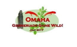 2017 Convention Logo