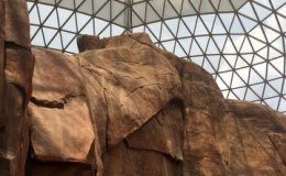 Desert habitats created within the biosphere