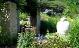 Back down in the garden