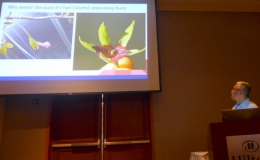 Hung Nguyen presenting "Gesneriad Seed Production” Hung Nguyen presenting "Gesneriad Seed Production”
